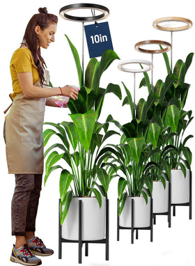 Little Joke 10-inch ring grow light, full spectrum for large indoor plants