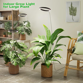 Little Joke full spectrum 380 800nm supports healthy plant growth