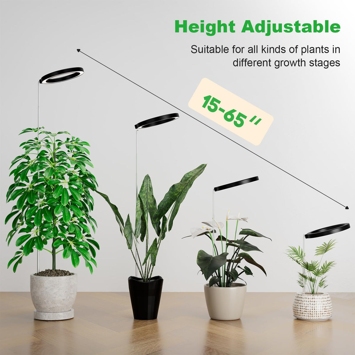 Little Joke room ready grow light enhances indoor spaces
