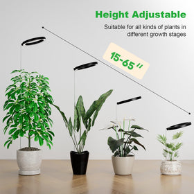 Little Joke room ready grow light enhances indoor spaces
