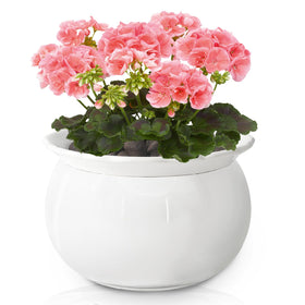 LITUDISO African Violet Pot inner pot with absorbent clay for steady root moisture