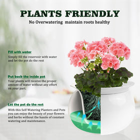 LITUDISO African Violet Pot outer reservoir stores water for easy care