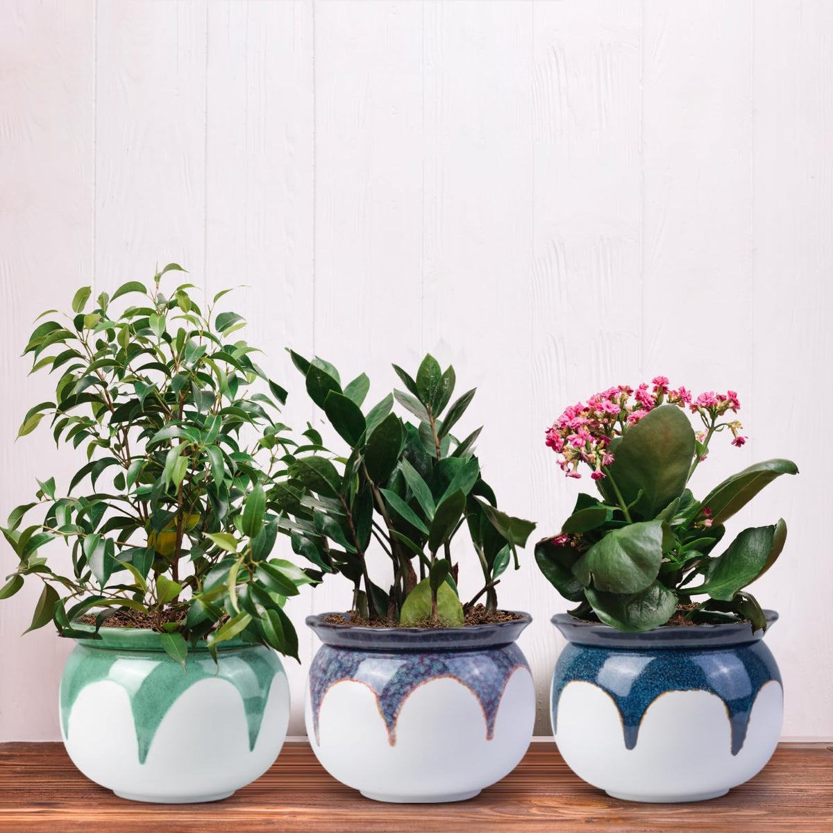 LITUDISO modern decor pot enhancing home interiors and plant layouts
