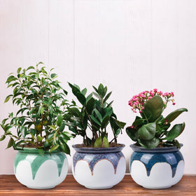 LITUDISO modern decor pot enhancing home interiors and plant layouts