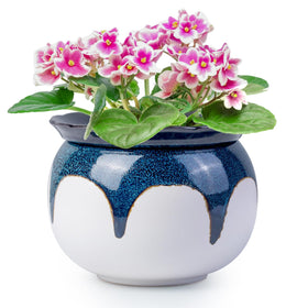 LITUDISO African Violet Pot gradient blue 6in with decorative glaze and bottom-up watering.