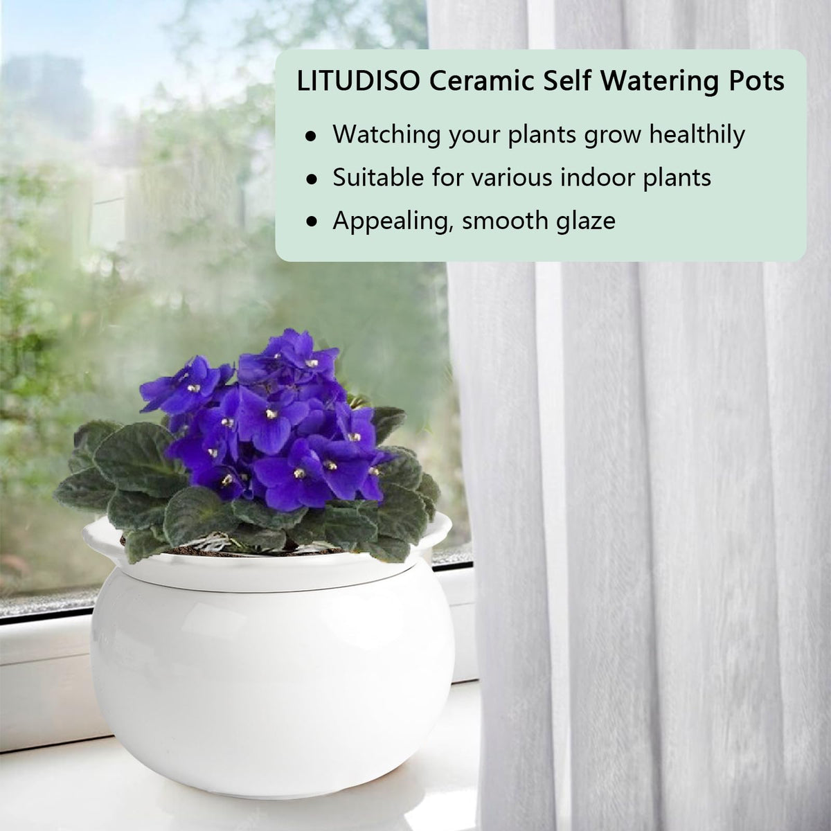 LITUDISO African Violet Pot glazed porcelain exterior highlights modern decor
