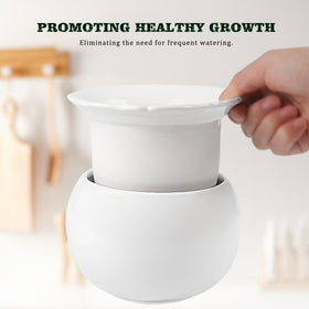 LITUDISO African Violet Pot root-oxygen feature supports healthy growth