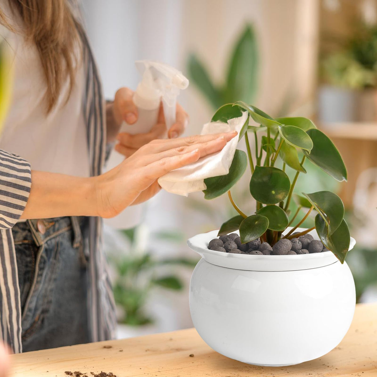 LITUDISO African Violet Pot self-watering design delivers moisture as needed