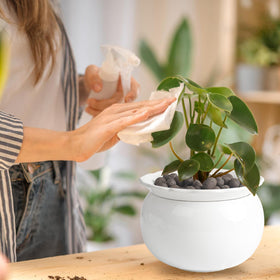 LITUDISO African Violet Pot self-watering design delivers moisture as needed