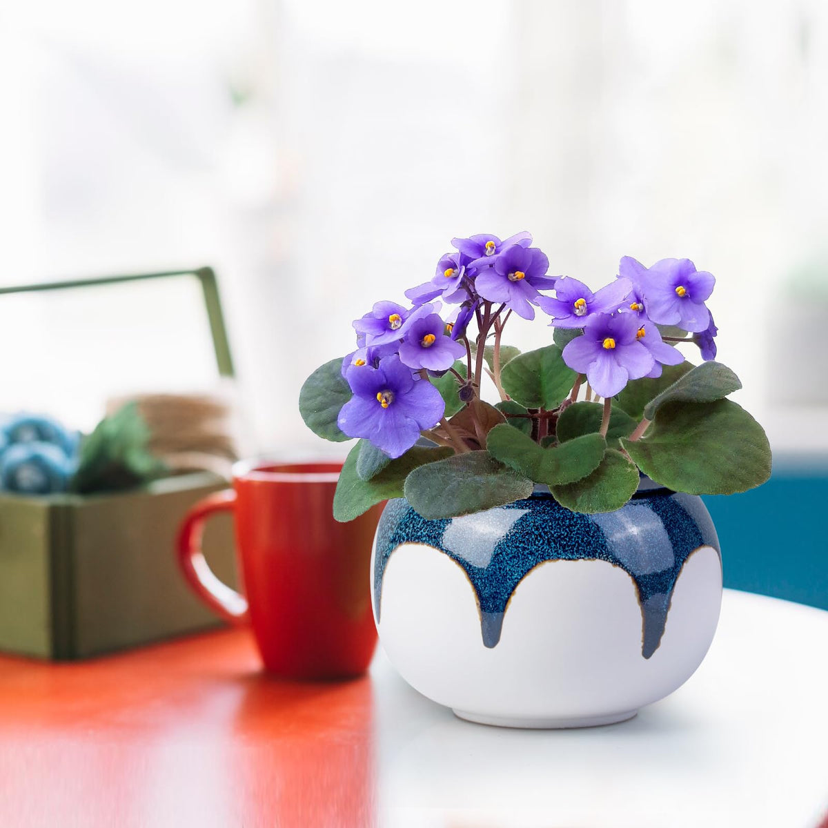 LITUDISO gradient glaze creates a unique pattern on a stylish plant pot.