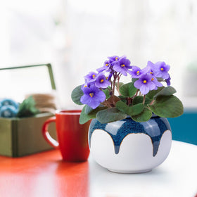 LITUDISO gradient glaze creates a unique pattern on a stylish plant pot.