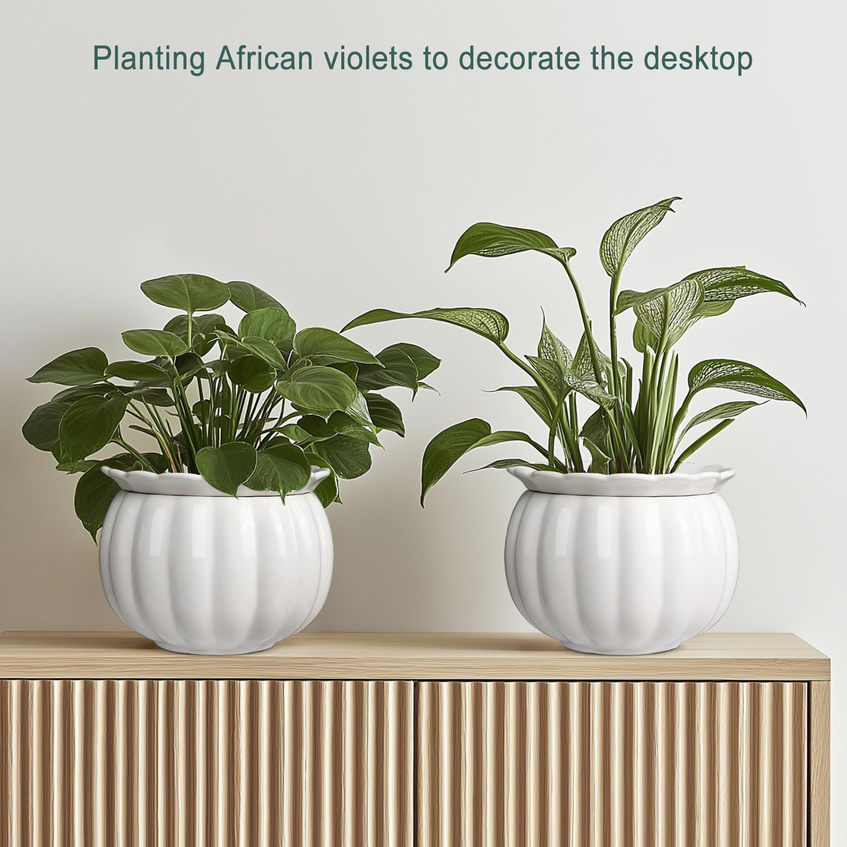 LITUDISO Indoor plants like succulents thrive in this planter.