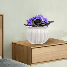 LITUDISO Pumpkin-shape planter adds decorative charm.