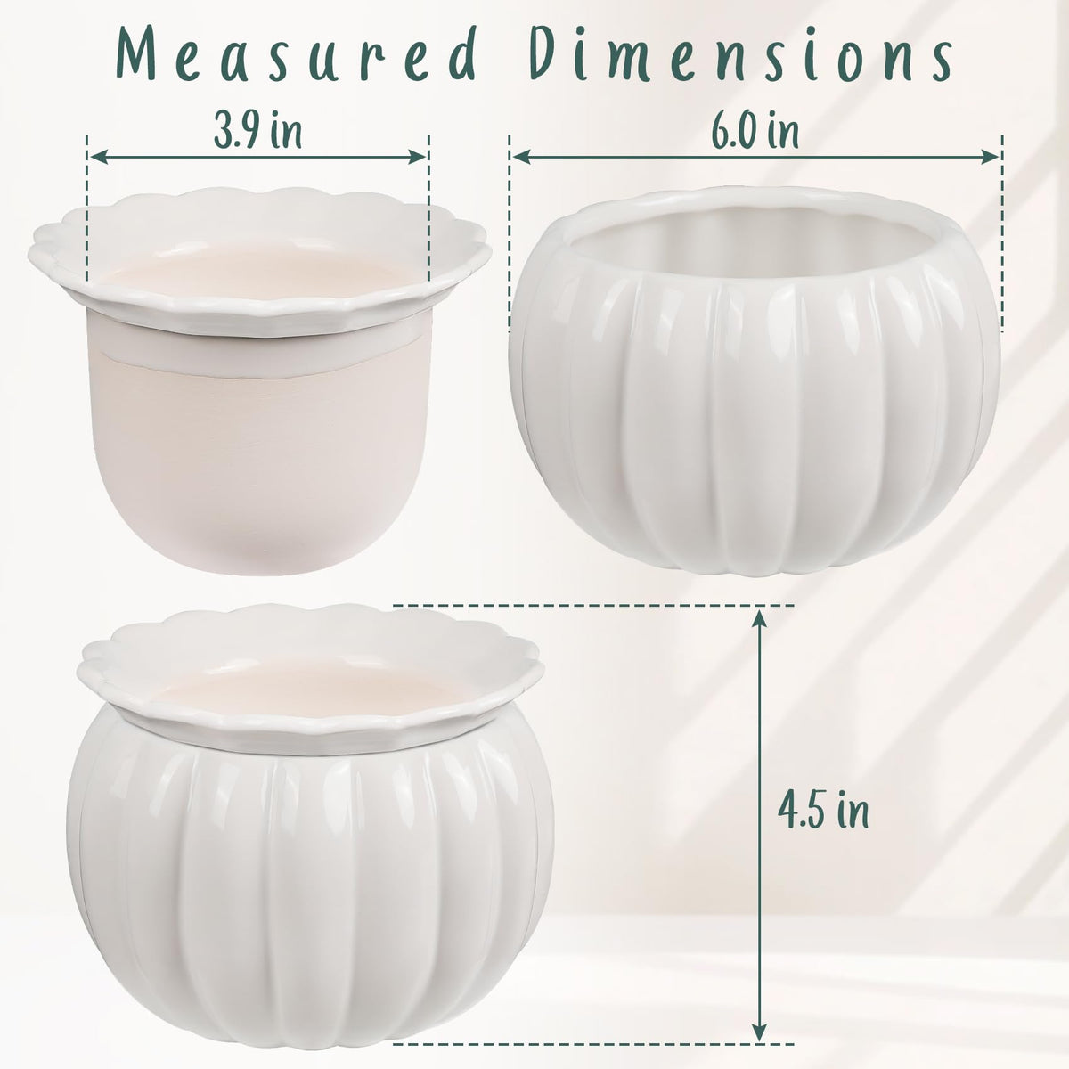 LITUDISO Self-Watering Ceramic Planter demonstrates dual-layer design.