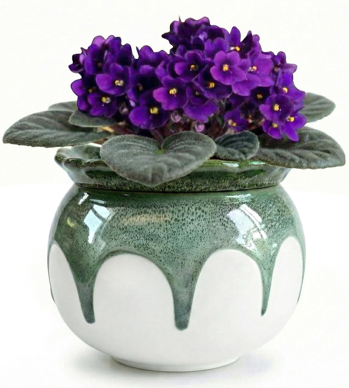 LITUDISO self-watering pot with gradient green glaze for easy indoor care