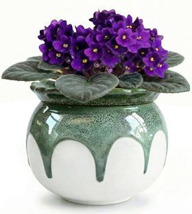 LITUDISO self-watering pot with gradient green glaze for easy indoor care