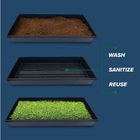 Living Whole Foods 5-pack top-view with exact 21x11 dimensions