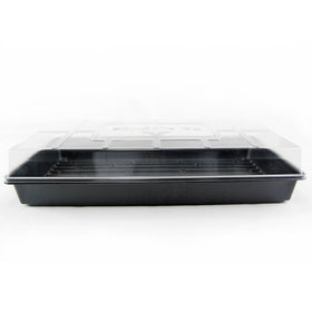 Living Whole Foods clear dome over seed tray promotes light exposure