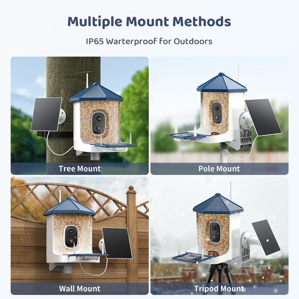 LIWAN Bird Feeder with Camera AI recognition identifies many species for curious observers.