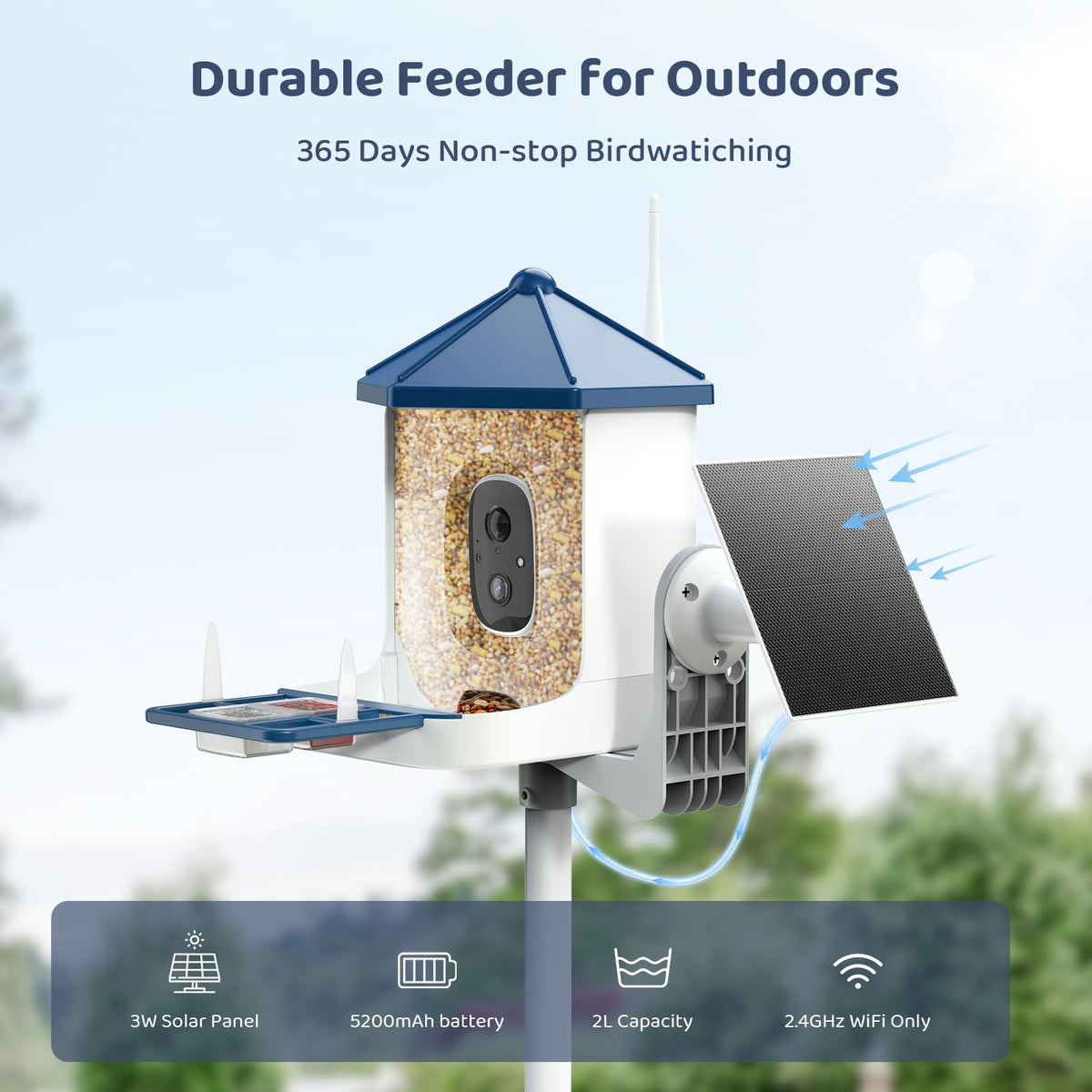 LIWAN Bird Feeder with Camera infrared night vision reveals nocturnal visitors.