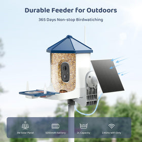LIWAN Bird Feeder with Camera infrared night vision reveals nocturnal visitors.