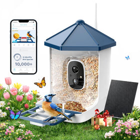 LIWAN Bird Feeder with Camera solar panel enables continuous, sun-powered birdwatching.