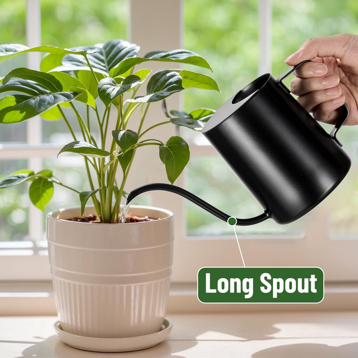 Lizhluzh 20oz capacity ideal for small indoor plants