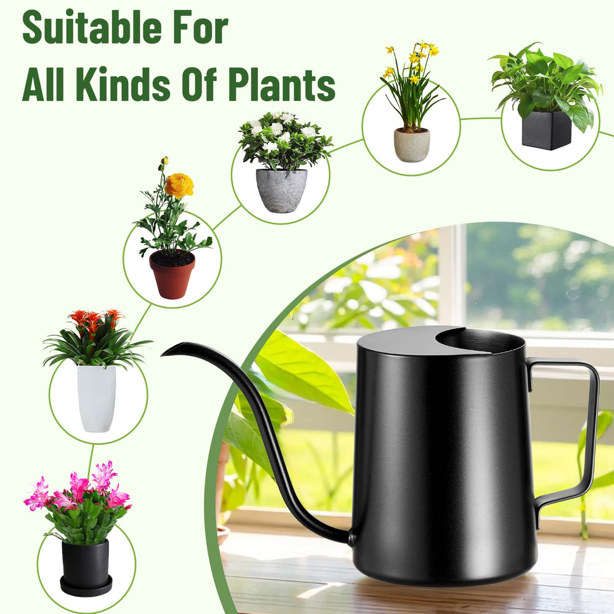 Lizhluzh indoor plant watering can for herbs and succulents