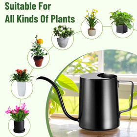 Lizhluzh indoor plant watering can for herbs and succulents