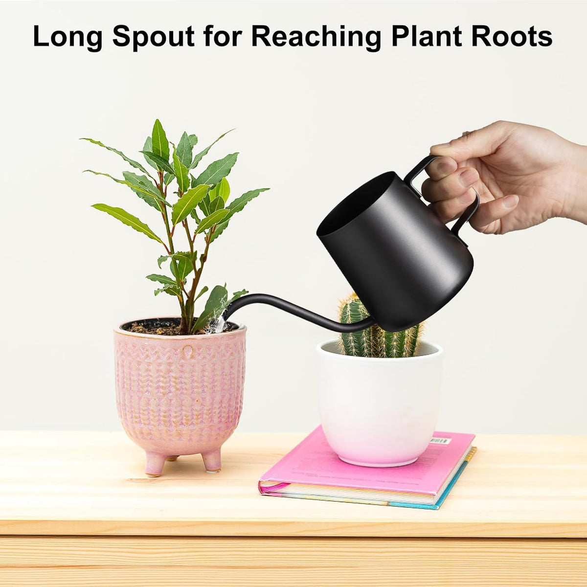 Lizhluzh stainless steel watering can for indoor plants shows durability.