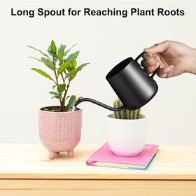 Lizhluzh stainless steel watering can for indoor plants shows durability.