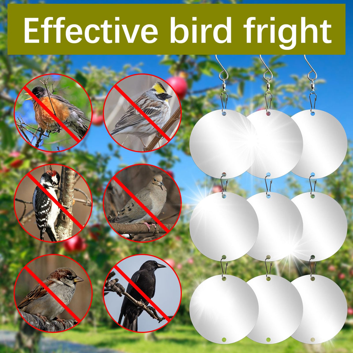 Lizoidzsm Bird Scare Disc outdoor use protects patios gardens and boats