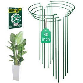 LKSSZS 6-pack 30-inch plant stakes with sturdy rings for tall plants.
