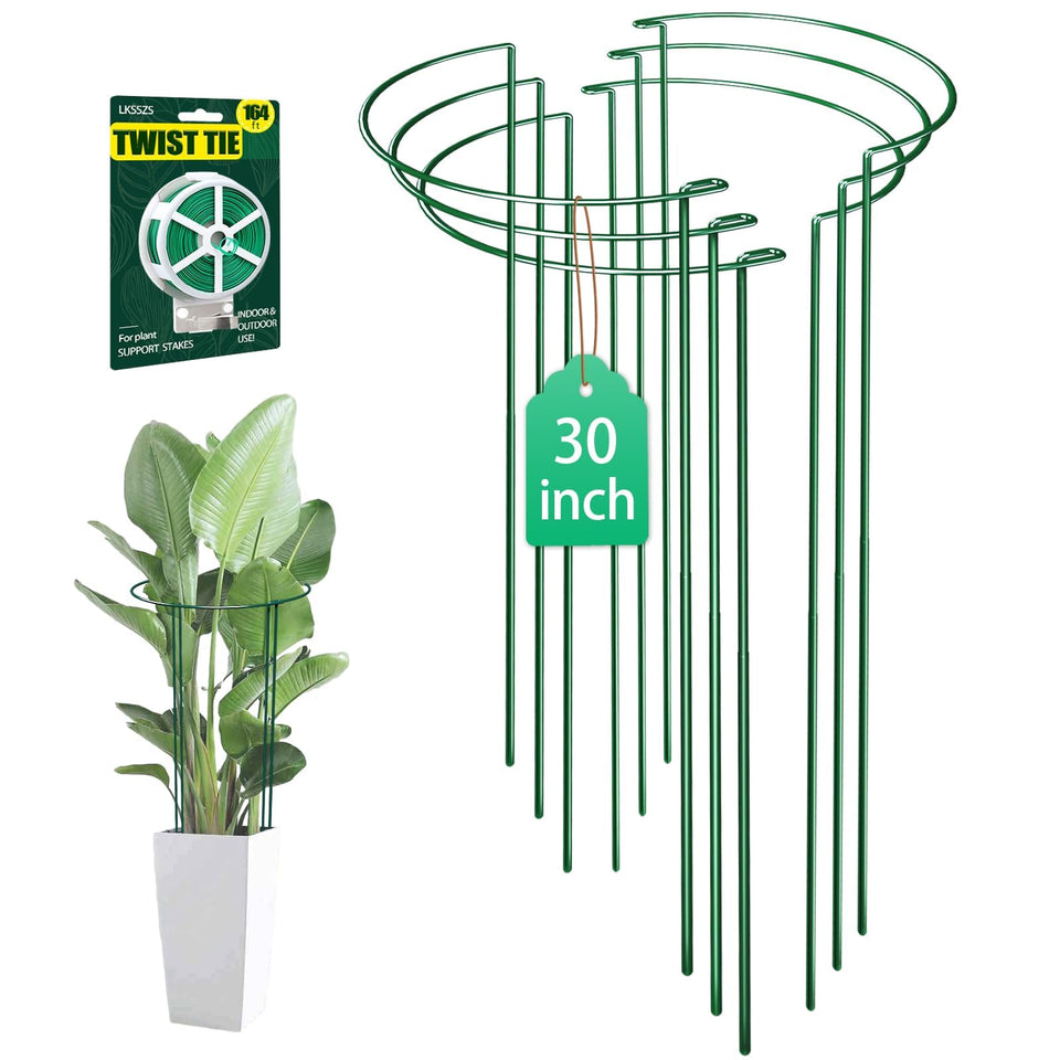 LKSSZS 6-pack 30-inch plant stakes with sturdy rings for tall plants.