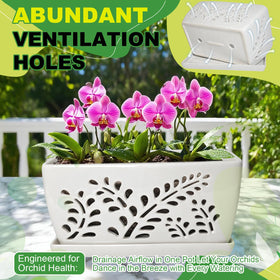 LKSSZS orchid pot is easy to clean and supports simple repotting tasks.