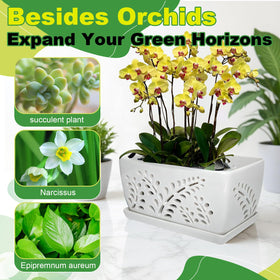 LKSSZS indoor-outdoor orchid pot suits living rooms, patios, and greenhouses.