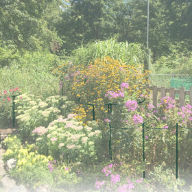 LKSSZS sturdy green-coated iron stakes blend with greenery in the garden