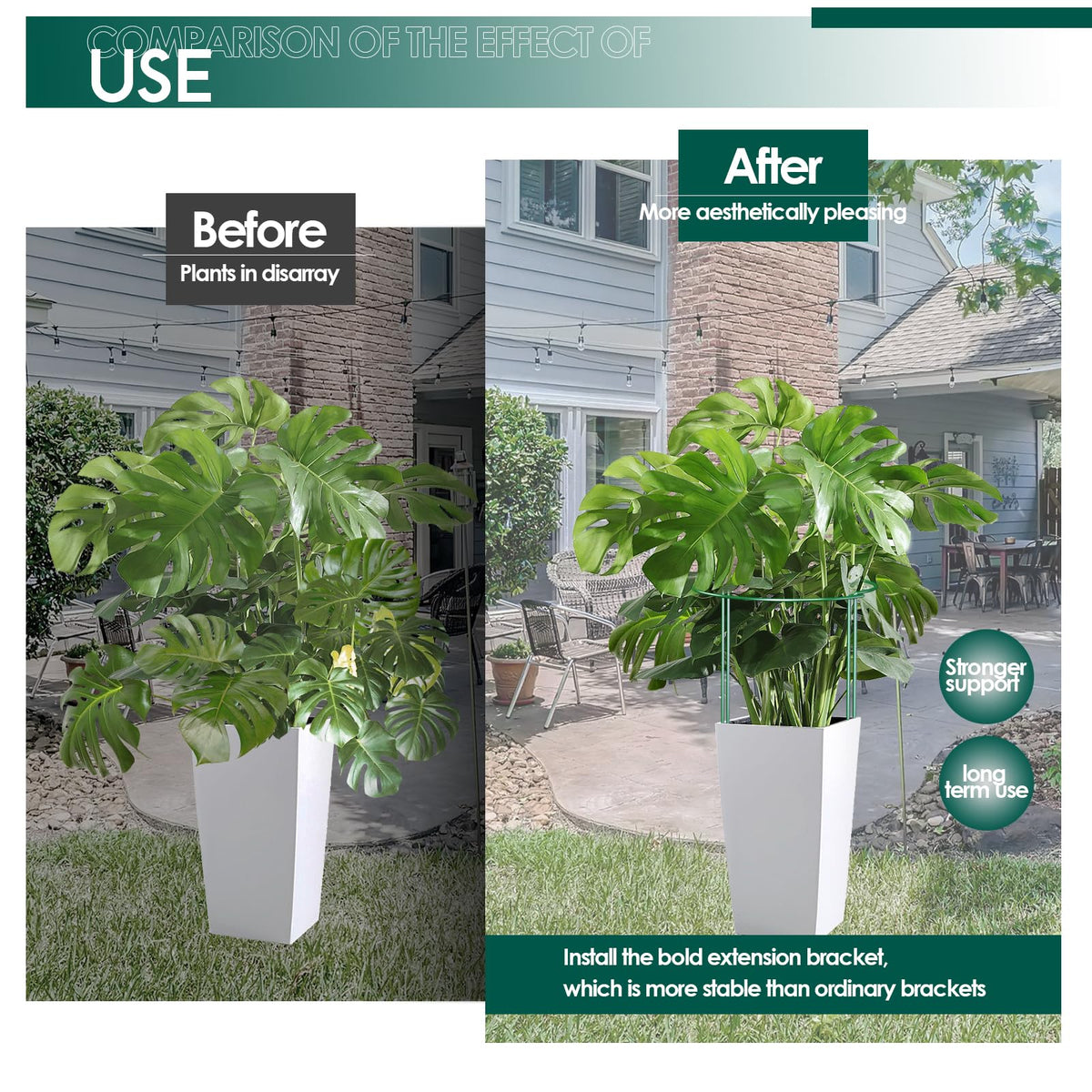 LKSSZS tomato-stake setup supports fruiting vines without crowding.