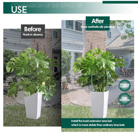 LKSSZS tomato-stake setup supports fruiting vines without crowding.
