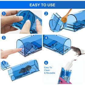 lllteri safe for family and pets non-toxic design