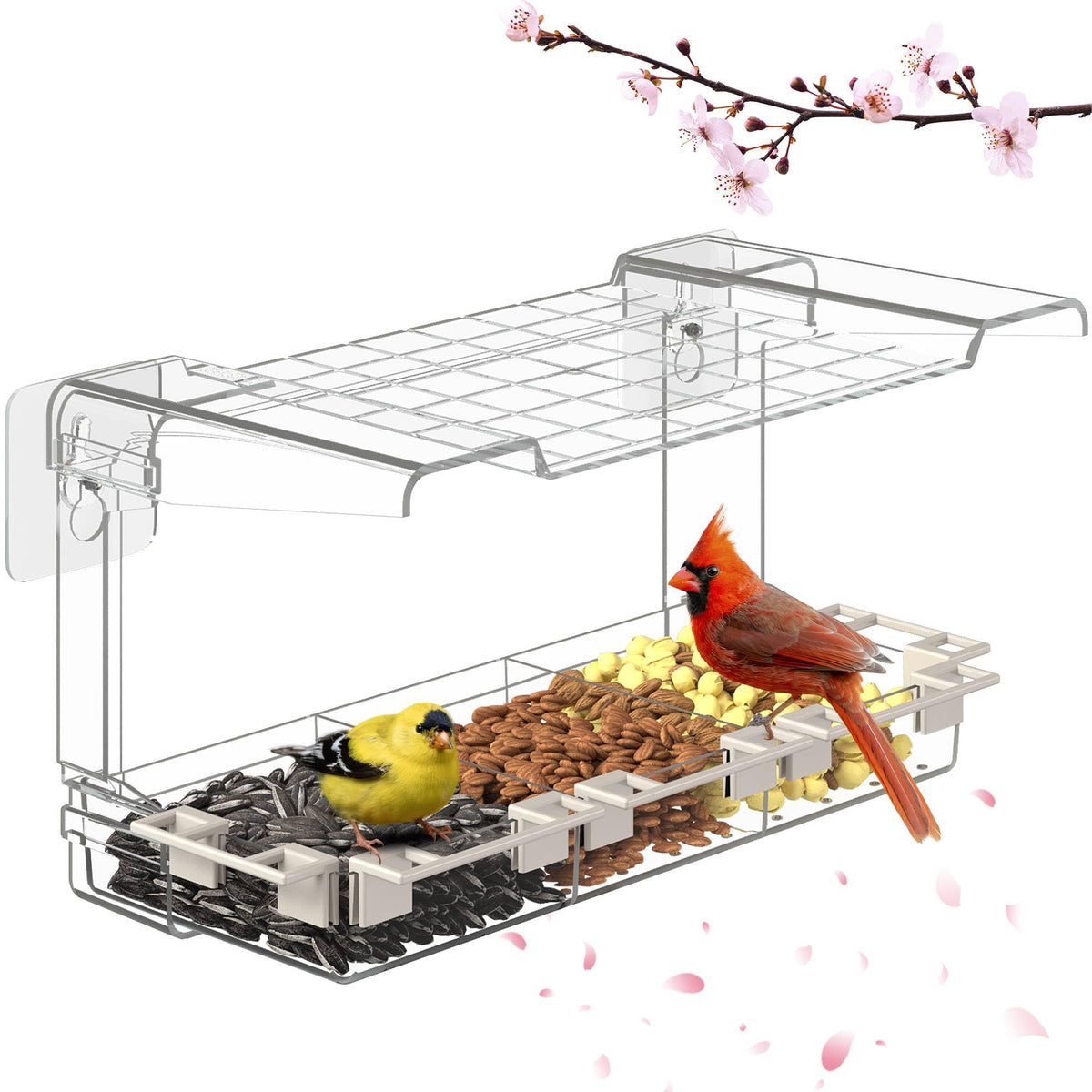 LMHOME Clear Window Bird Feeder front view for effortless indoor birdwatching.