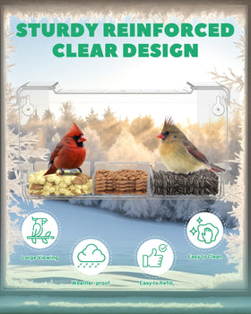 LMHOME Five-perching-stands design supports multiple birds during feeding.