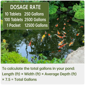 LMJP Muck Reducer koi pond use supports regular maintenance and improved aesthetics
