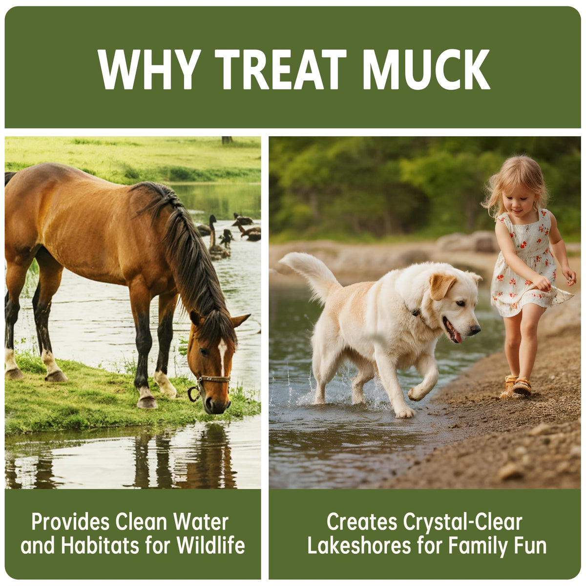 LMJP Muck Reducer demonstrates odor control and clearer water for ponds