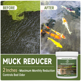 LMJP Muck Reducer tablets dissolve and release enzymes to tackle sludge