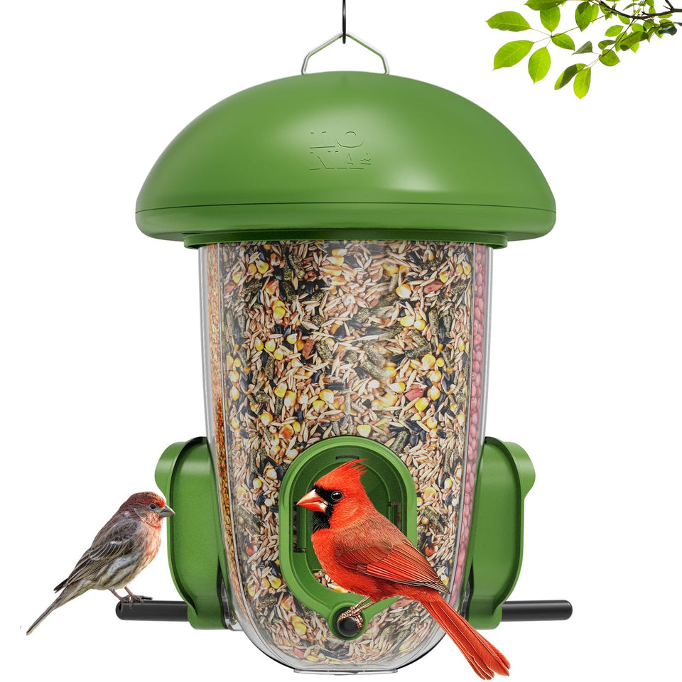 LO NA LOVE NATURE bird feeder outdoors with green dome for year-round use.