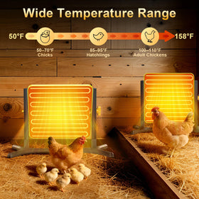 Lobeline coop heater with a smart thermostat for easy control.