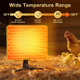 Lobeline hanging design for space-saving coop setup