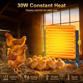 Lobeline winter heating solution maintains coop comfort in cold days.