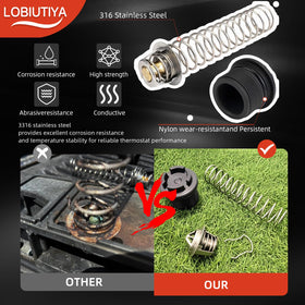 LOBIUTIYA MasterTemp 250 compatibility supporting various heater models
